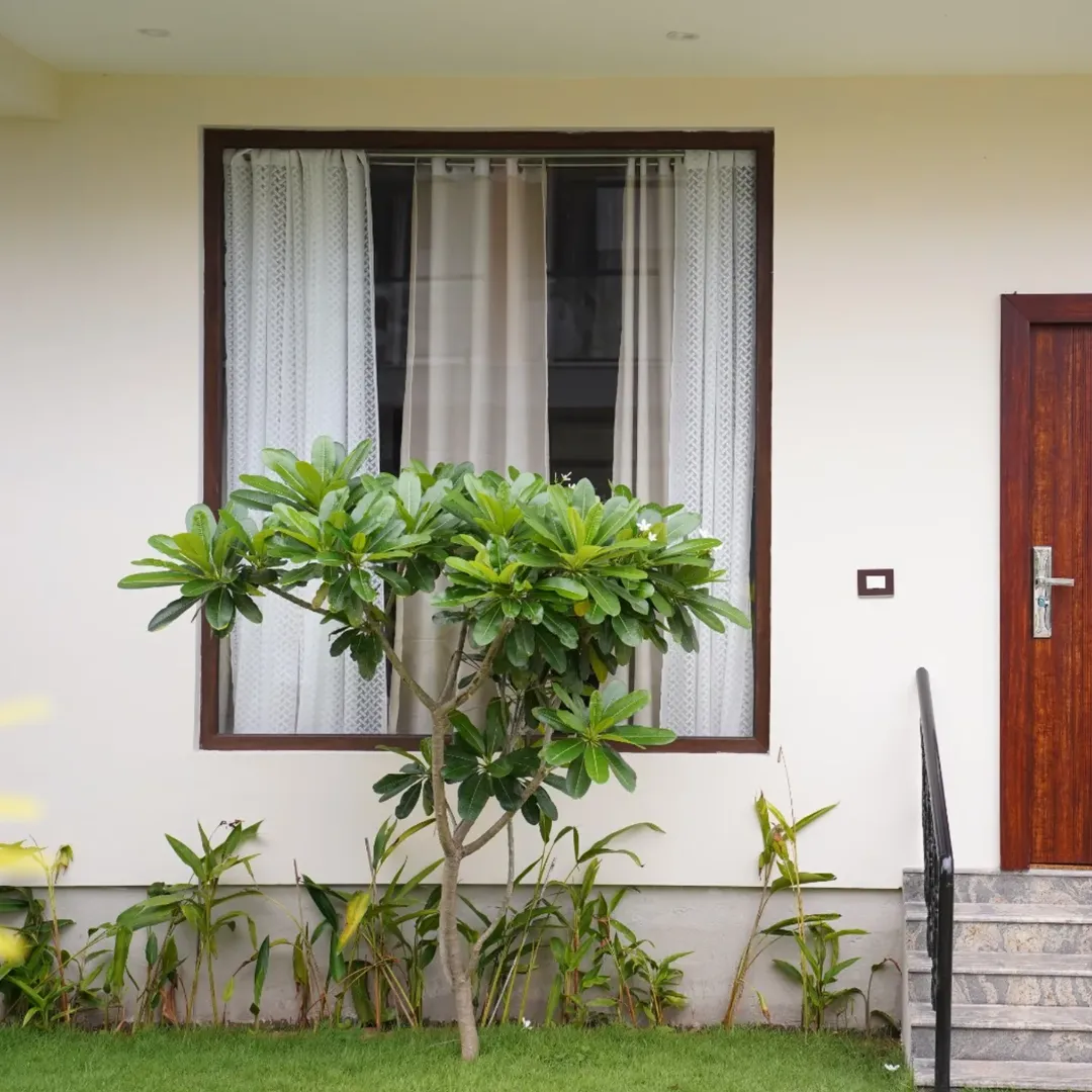 488592926_17850568626430976_2969126022948723998_n